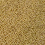 Magnesium Zirconia Oxide Beads