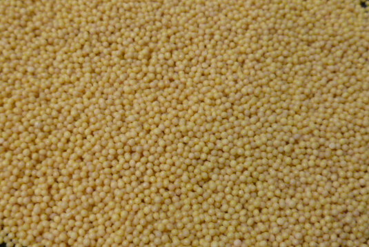 Magnesium Zirconia Oxide Beads