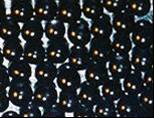Black Deco Beads, Translucent